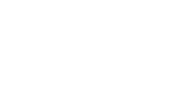 네이버페이 logo